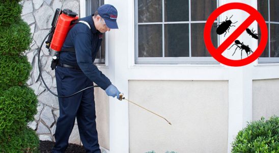 Sakarya Akrep İlaçlama böcek ilaçlama ve haşere kontrolü — ilaclama-tr.com